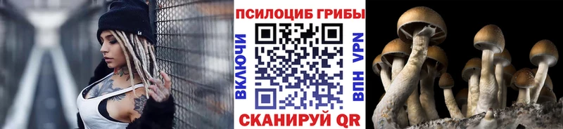 Купить где  Воскресенск  Галлюциногенные грибы мицелий 